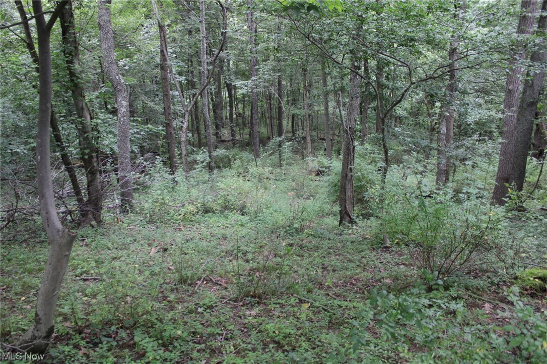 2 Fargo Road Southwest Dellroy, OH 44620 - Photo 6 of 17