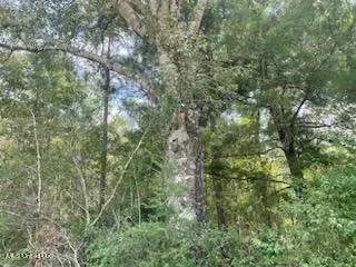 $85,500 | 8 Tanner Williams Road, Lucedale, MS 39452