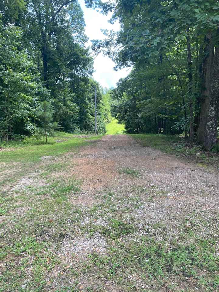 370 Barry Road Holly Springs, MS 38635 - Photo 23 of 24 Gallery Image 23