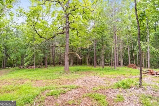 $200,000 | 0 Handy Road, Newnan, GA 30263