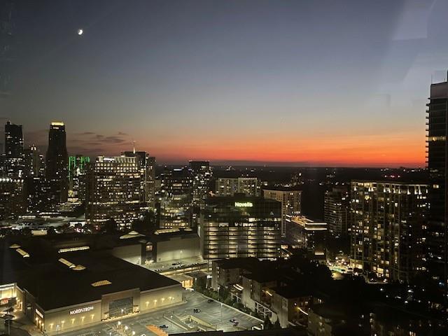 3630 Peachtree Road Northeast, Unit 2307 Atlanta, GA 30326 - Photo 48 of 48