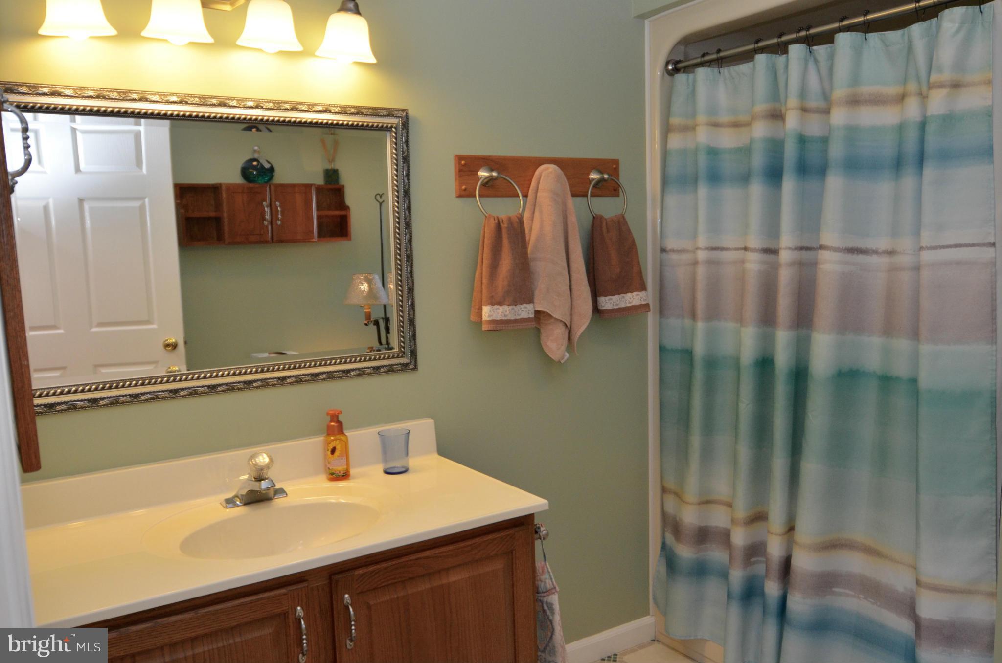 13210 Rosedale Cannery Road Still Pond, MD 21667 - Photo 18 of 30 Hall Bath
