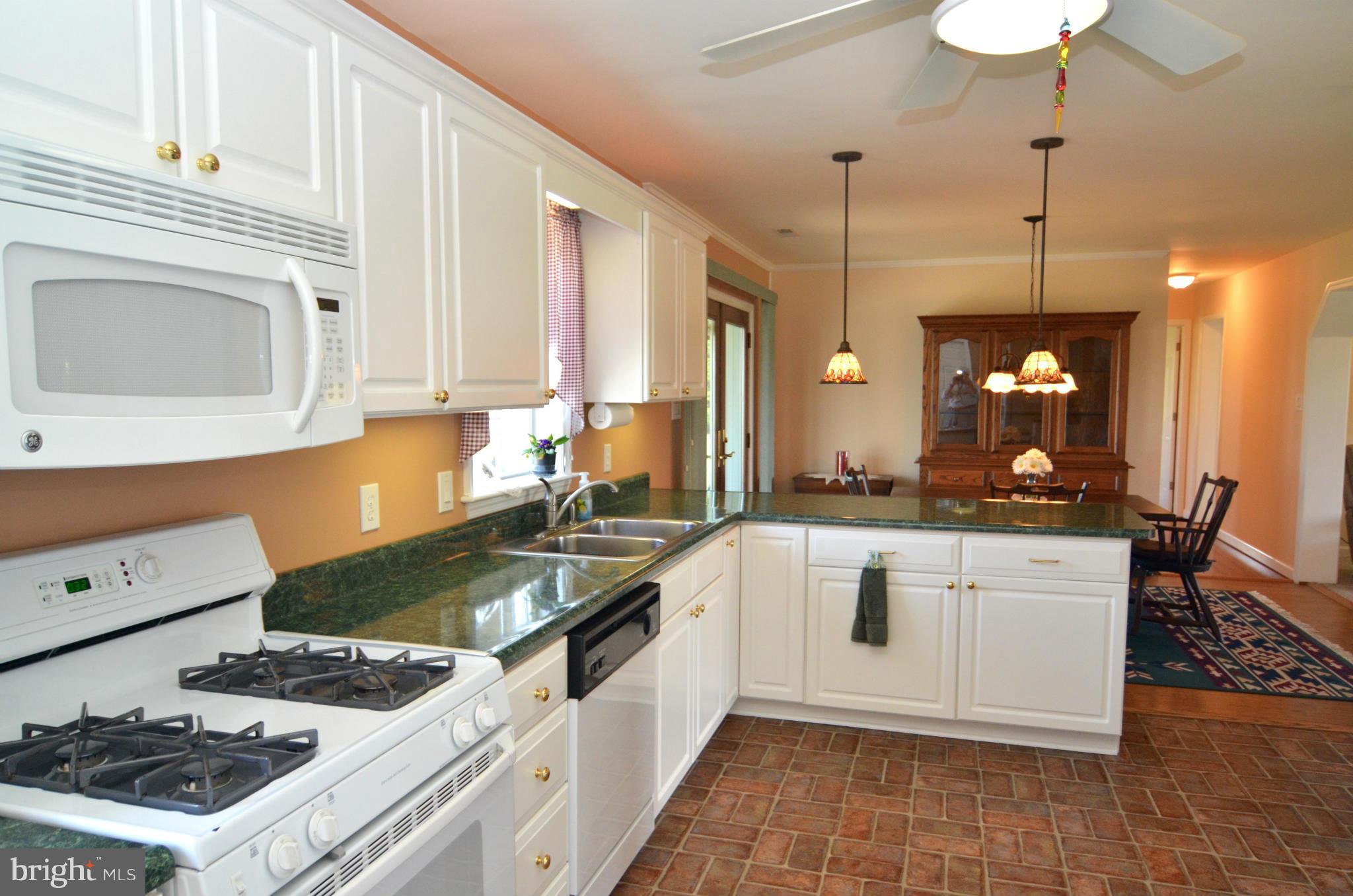 13210 Rosedale Cannery Road Still Pond, MD 21667 - Photo 3 of 30 Kitchen