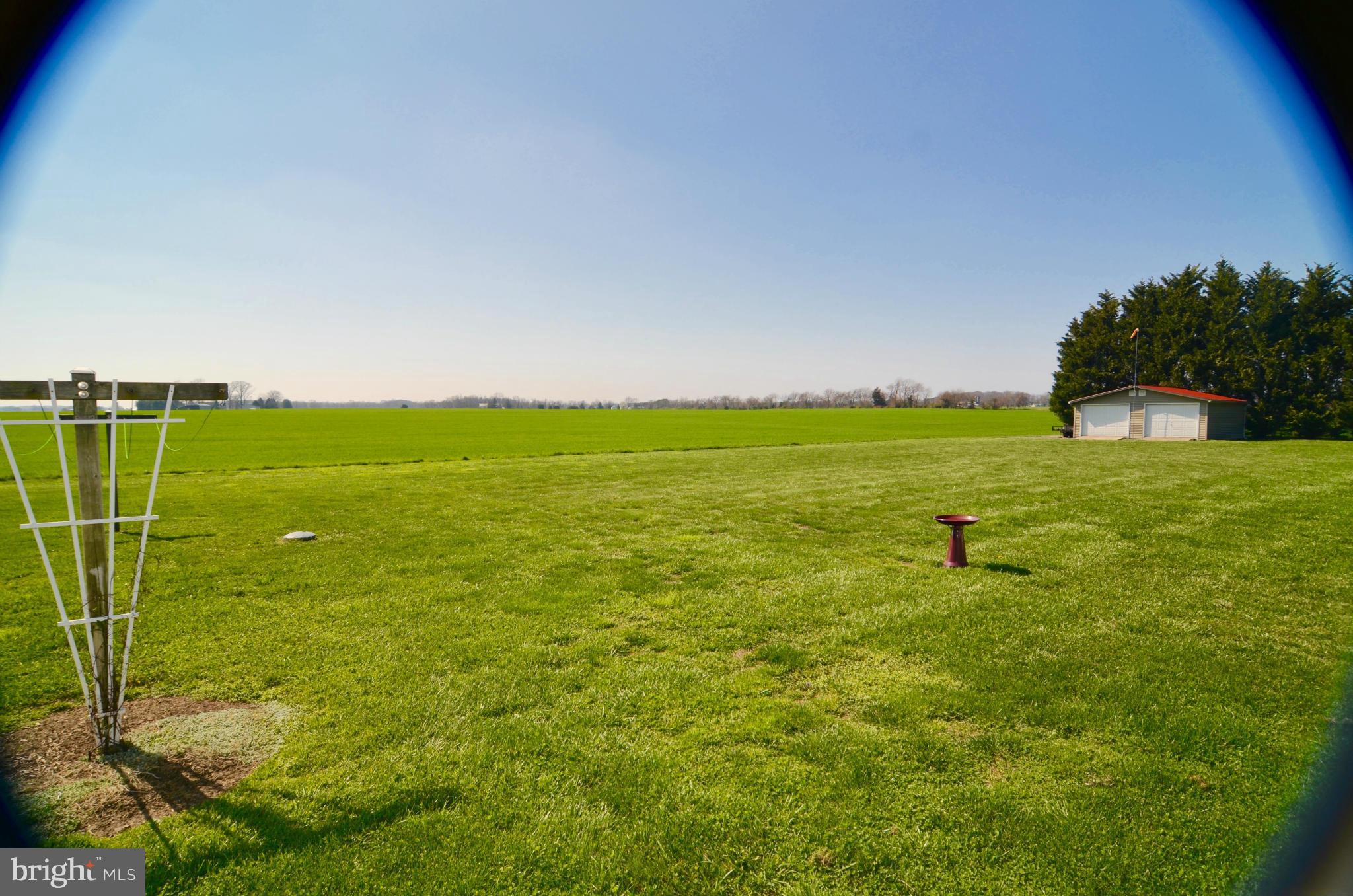 13210 Rosedale Cannery Road Still Pond, MD 21667 - Photo 27 of 30 View out back