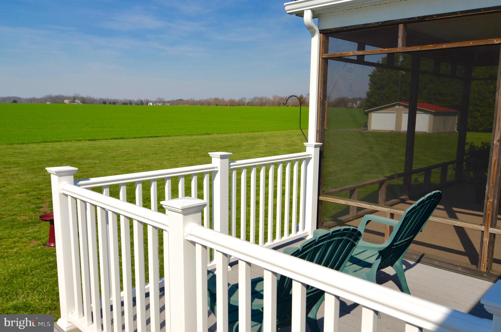 13210 Rosedale Cannery Road Still Pond, MD 21667 - Photo 6 of 30 Deck area
