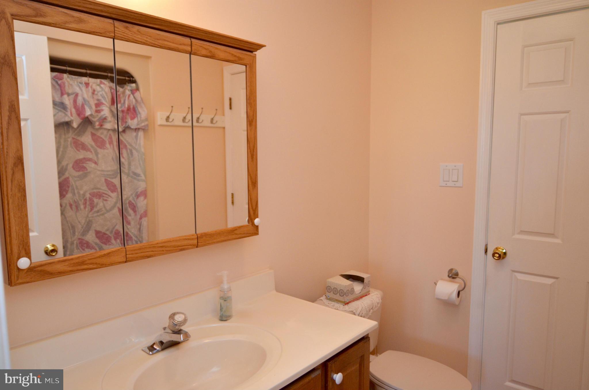 13210 Rosedale Cannery Road Still Pond, MD 21667 - Photo 8 of 30 Master Bath