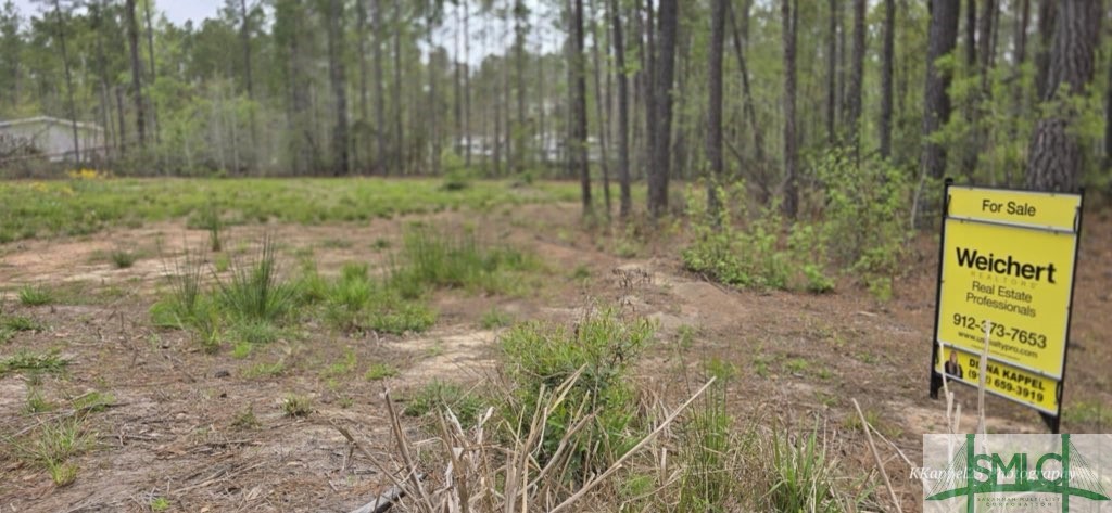 Lot 11 Pate Rogers Road Fleming, GA 31309 - Photo 3 of 6 Gallery Image 3