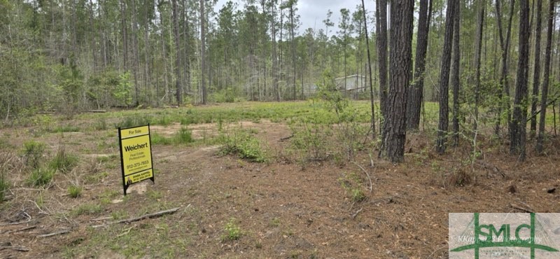 Lot 11 Pate Rogers Road Fleming, GA 31309 - Photo 4 of 6 Gallery Image 4
