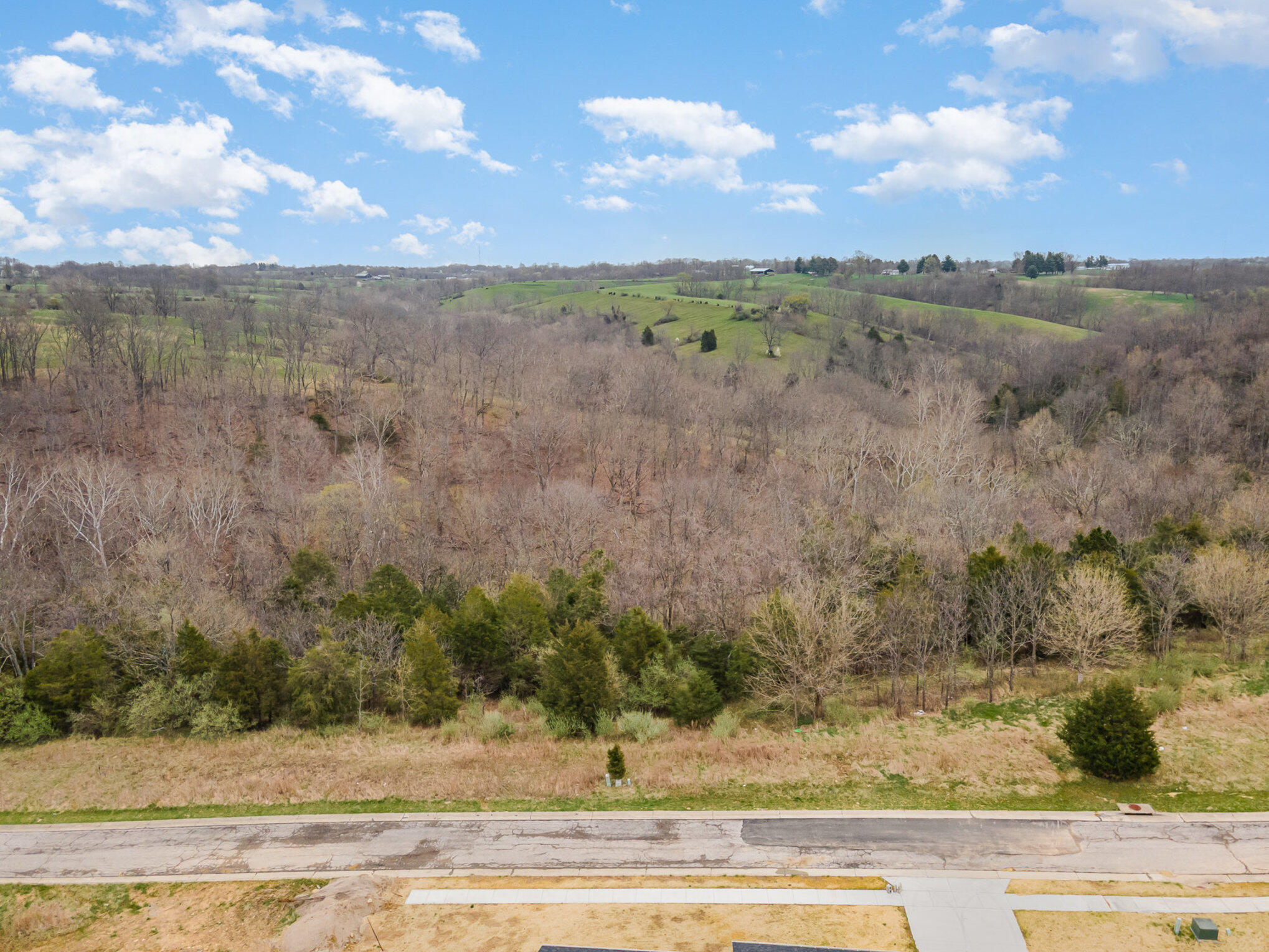 Lot 29 Saddlebrook Lane Dry Ridge, KY 41035 - Photo 15 of 17