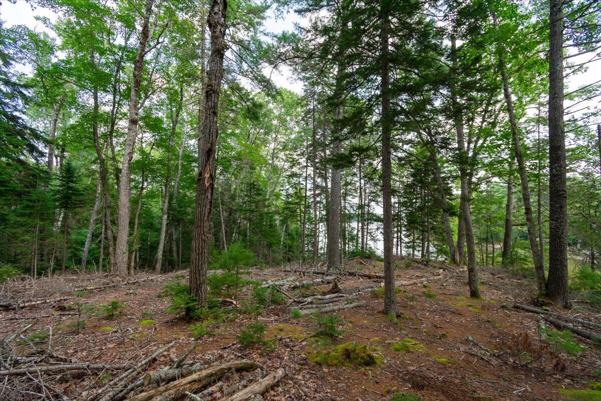 17 Robbins Point Road Gouldsboro, ME 04607 - Photo 15 of 16 12-Robins Pt-54