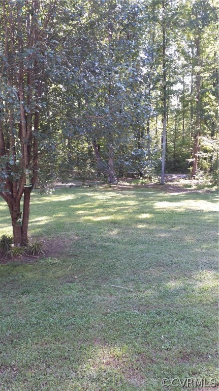 5520 Swann Road Powhatan, VA 23139 - Photo 3 of 16 View from front porch