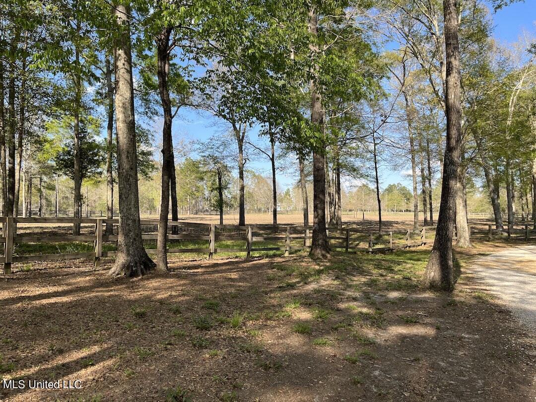 20 Boone Road Perkinston, MS 39573 - Photo 54 of 66 IMG_3216