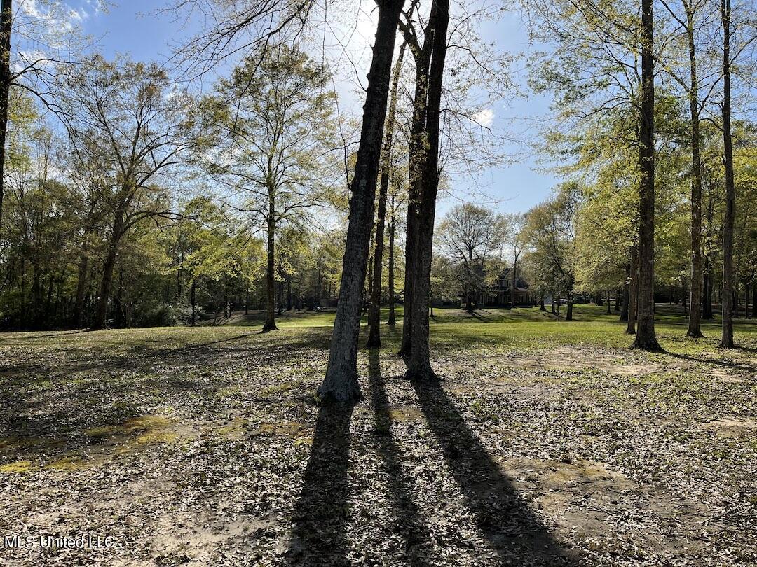 20 Boone Road Perkinston, MS 39573 - Photo 65 of 66 IMG_3236