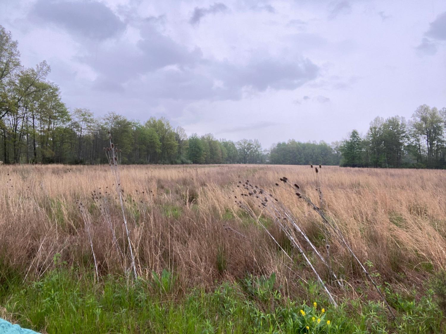 7-ac 7-ac Bodman Road Mount Orab, OH 45154 - Photo 1 of 6 Gallery Image 1