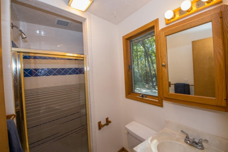 78450 40th Street Decatur, MI 49045 - Photo 21 of 53 Bathroom 1