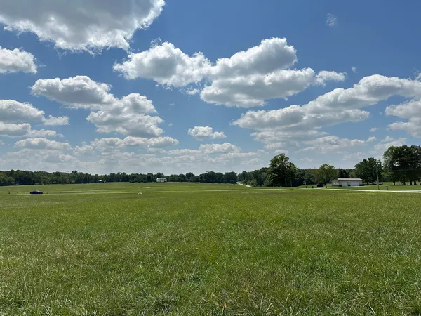 a view of a big yard of grass and an empty tree