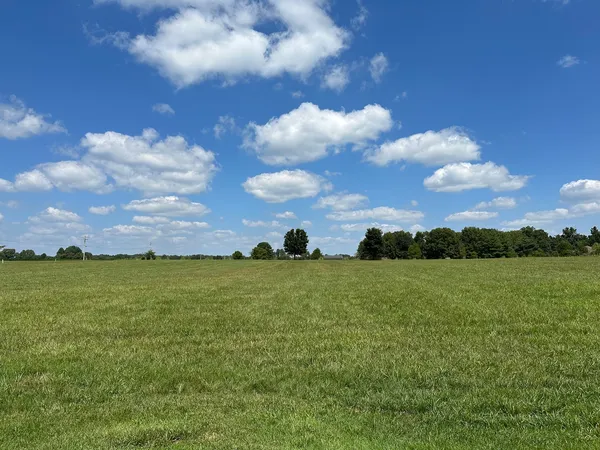 a view of a big yard with a house