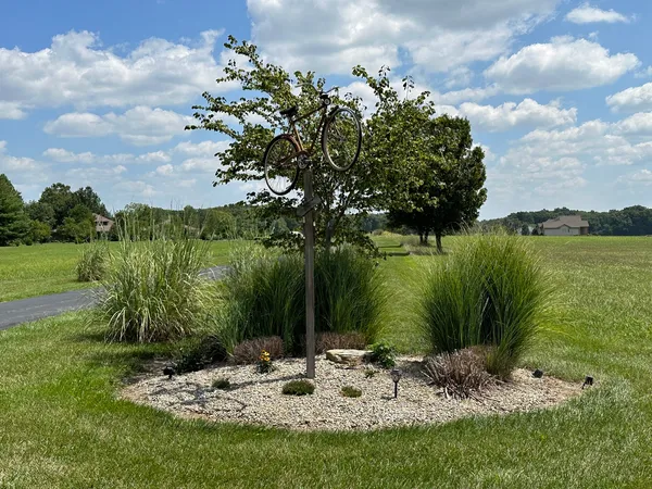 a view of a garden with a tree