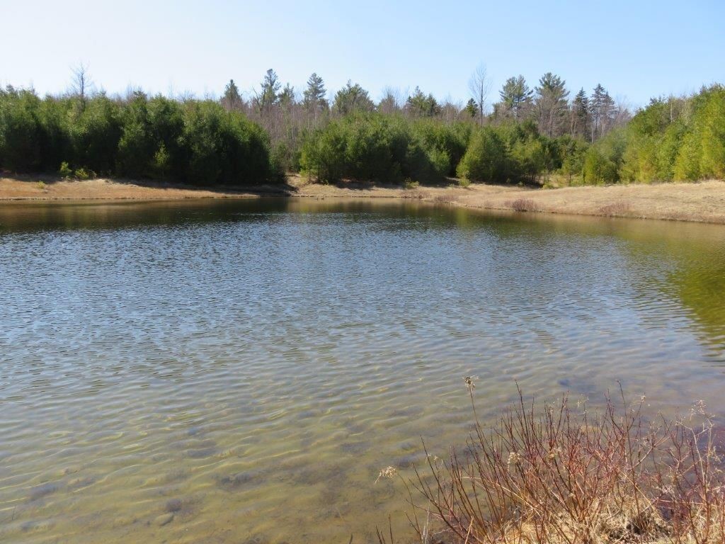 0 Height Of Land Road Grafton, NH 03240 - Photo 1 of 21 Gallery Image 1