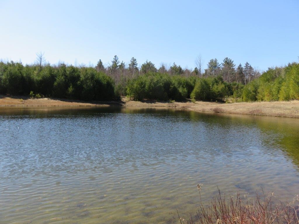 0 Height Of Land Road Grafton, NH 03240 - Photo 2 of 21 Gallery Image 2