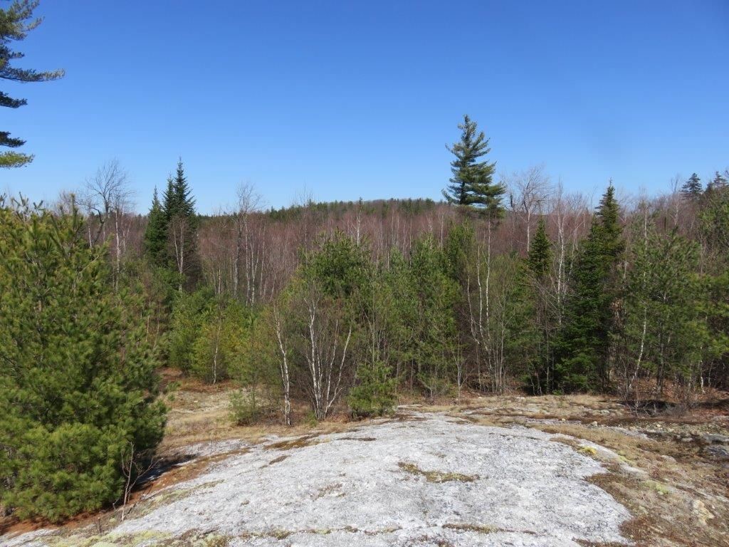 0 Height Of Land Road Grafton, NH 03240 - Photo 11 of 21 Gallery Image 11