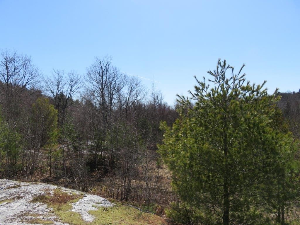 0 Height Of Land Road Grafton, NH 03240 - Photo 13 of 21 Gallery Image 13