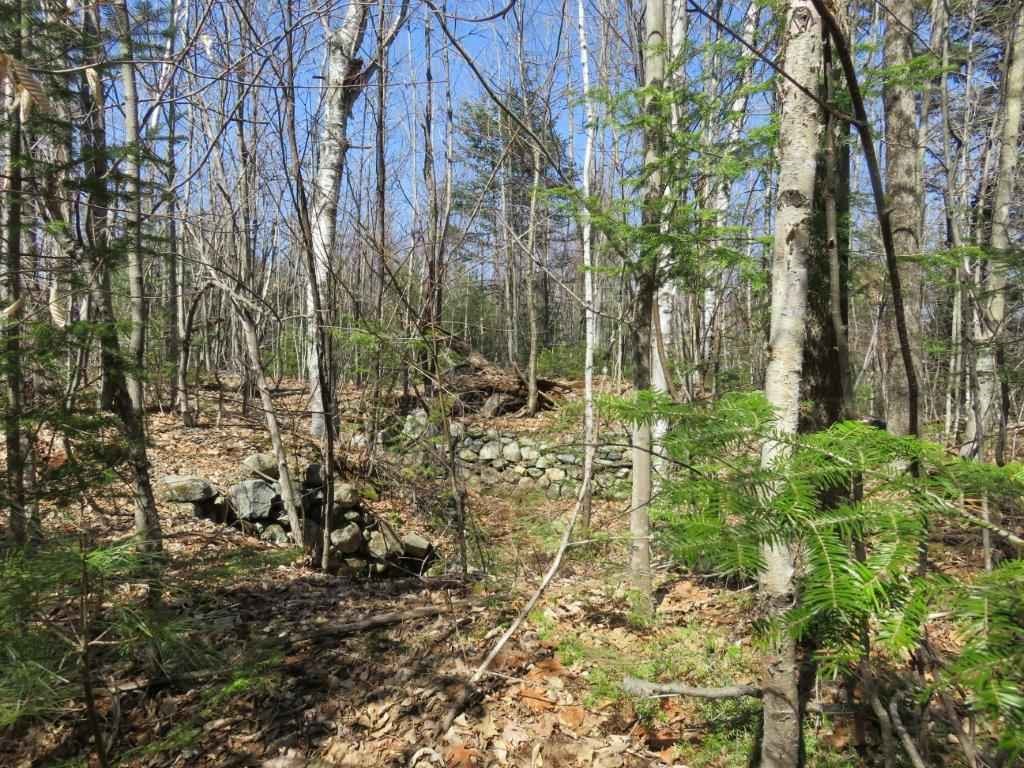 0 Height Of Land Road Grafton, NH 03240 - Photo 15 of 21 Gallery Image 15