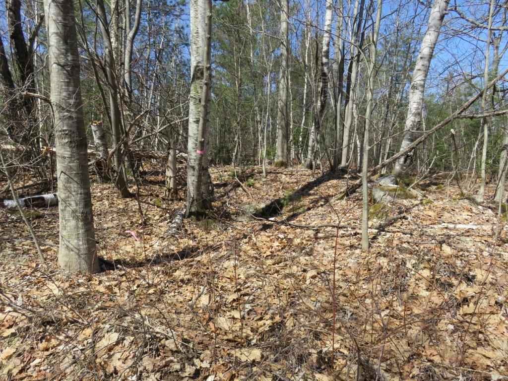 0 Height Of Land Road Grafton, NH 03240 - Photo 17 of 21 Gallery Image 17