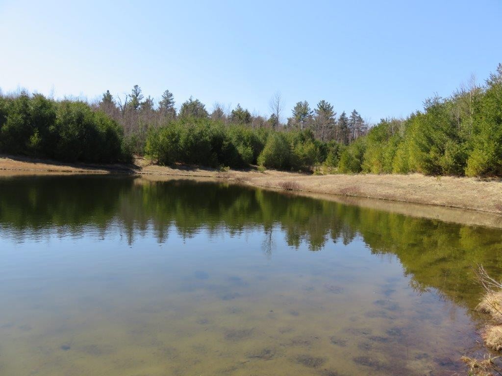 0 Height Of Land Road Grafton, NH 03240 - Photo 3 of 21 Gallery Image 3