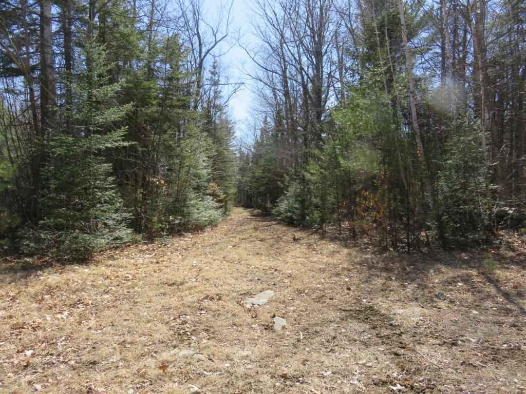 0 Height Of Land Road Grafton, NH 03240 - Photo 21 of 21 Gallery Image 21