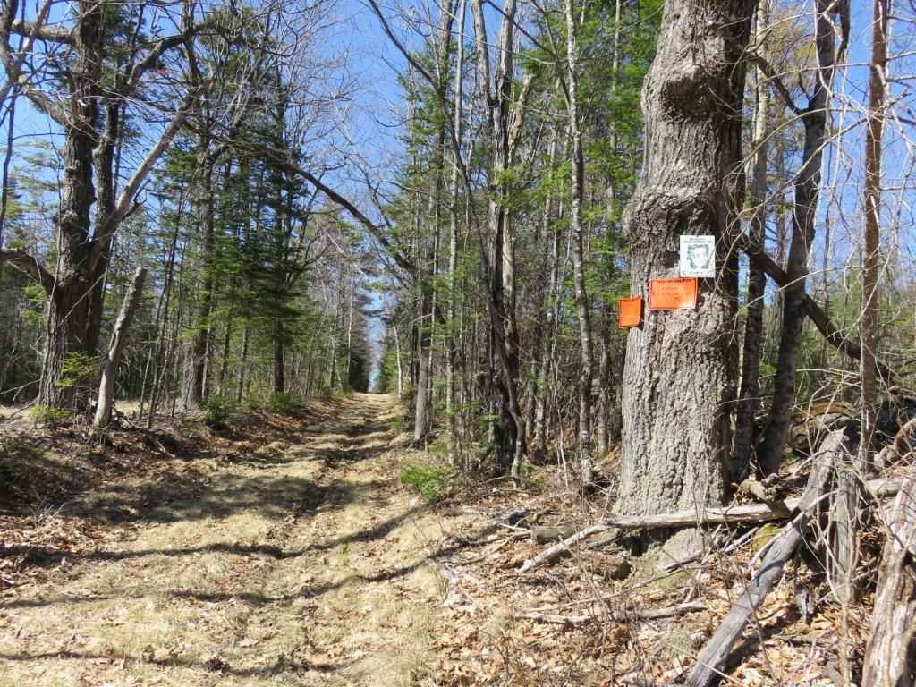 0 Height Of Land Road Grafton, NH 03240 - Photo 5 of 21 Gallery Image 5