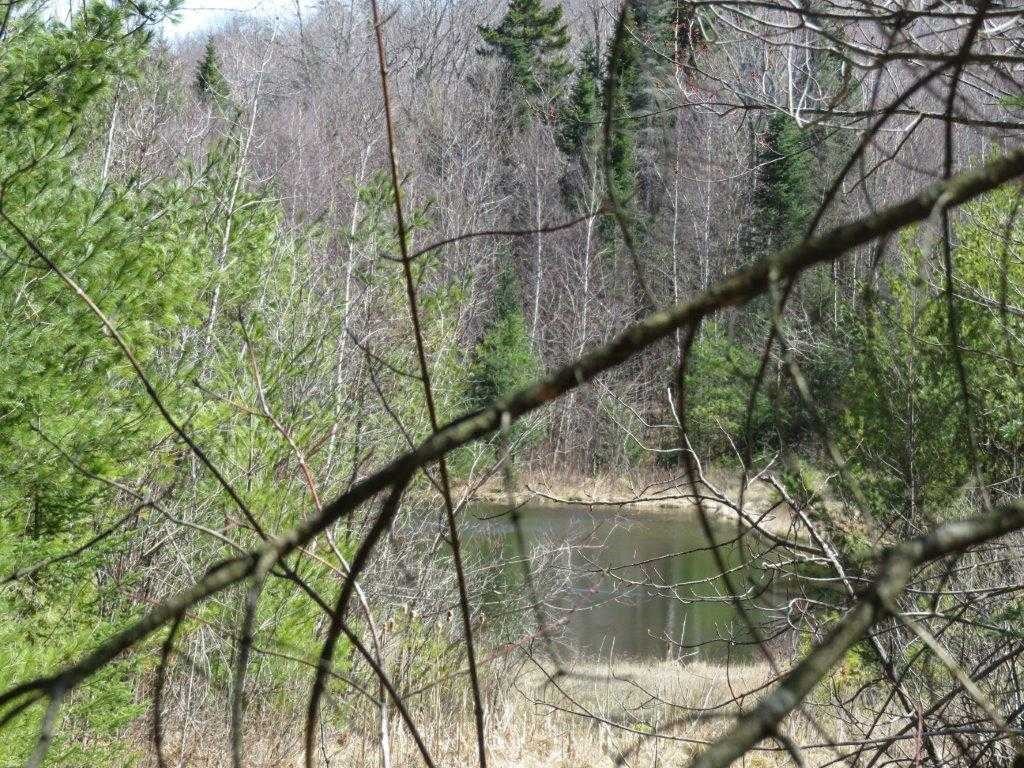 0 Height Of Land Road Grafton, NH 03240 - Photo 7 of 21 Gallery Image 7