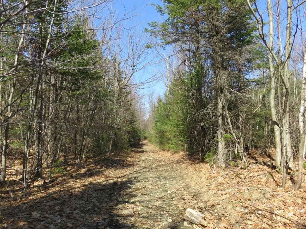 0 Height Of Land Road Grafton, NH 03240 - Photo 8 of 21 Gallery Image 8