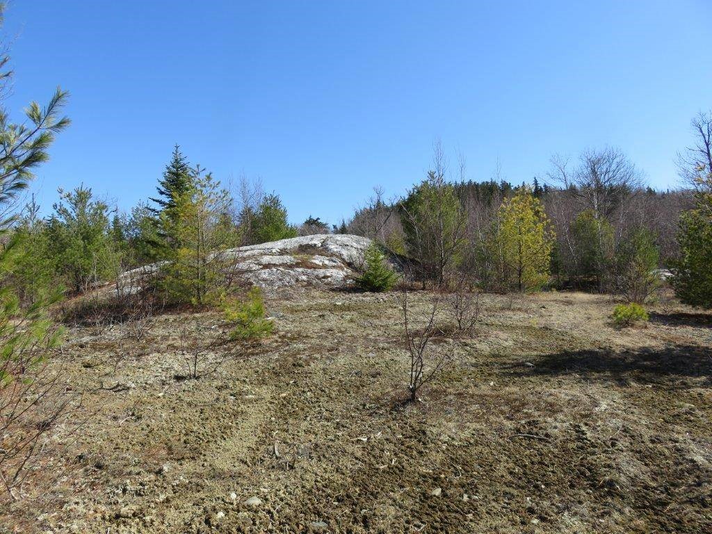 0 Height Of Land Road Grafton, NH 03240 - Photo 9 of 21 Gallery Image 9