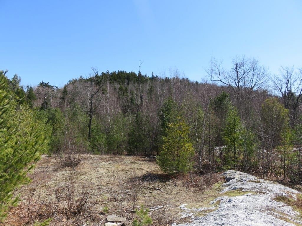 0 Height Of Land Road Grafton, NH 03240 - Photo 10 of 21 Gallery Image 10