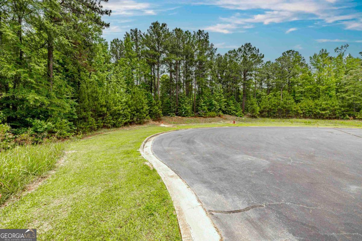 1360 Sailview Drive Buckhead, GA 30625 - Photo 4 of 37