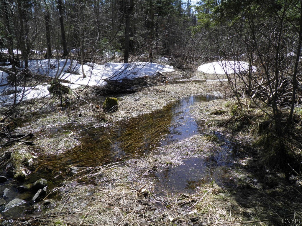 3539 3539th Road Turin, NY 13473 - Photo 11 of 12