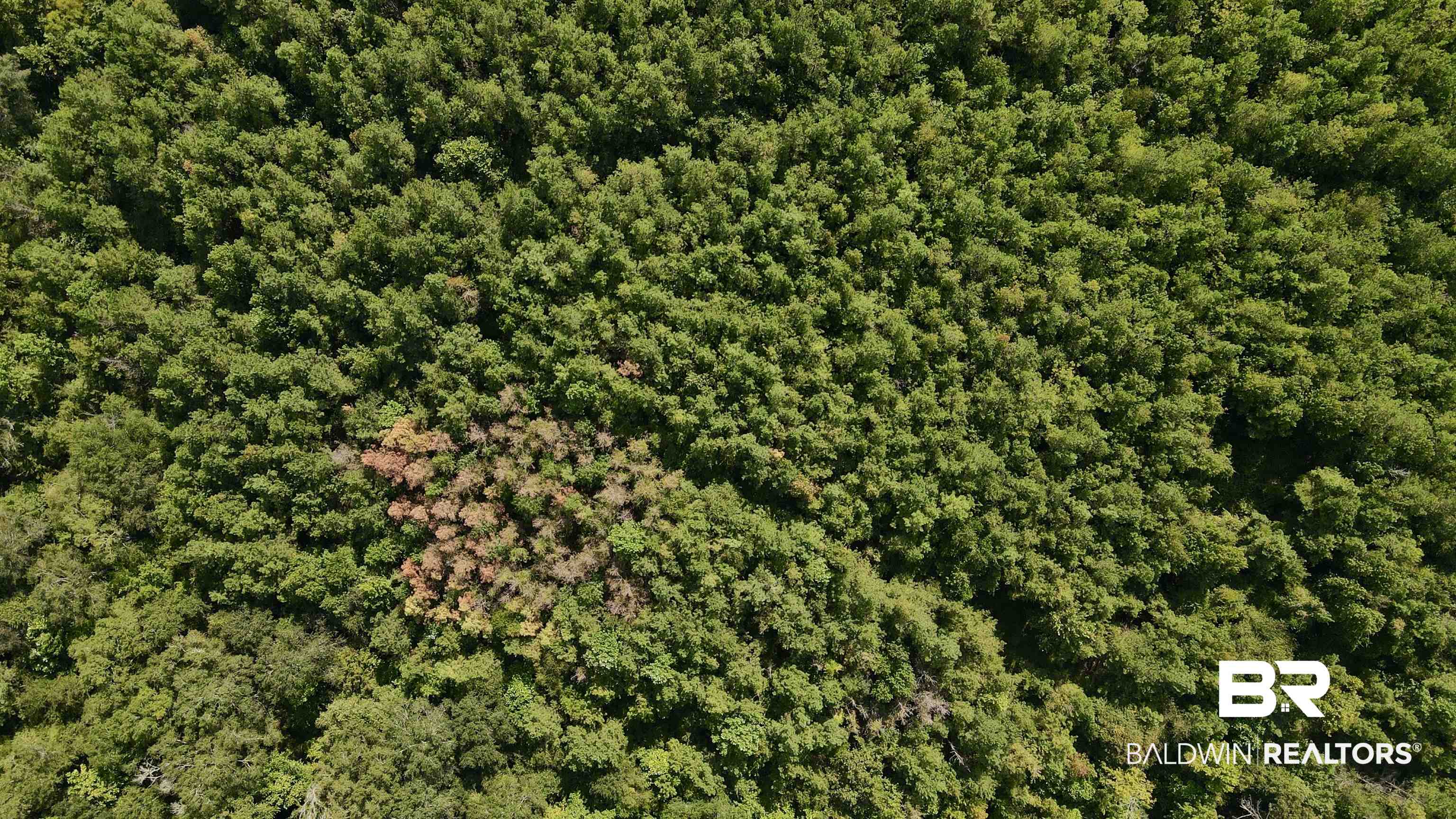 13850 Tallahatta Springs Road Thomasville, AL 36784 - Photo 27 of 27 Bird's eye view