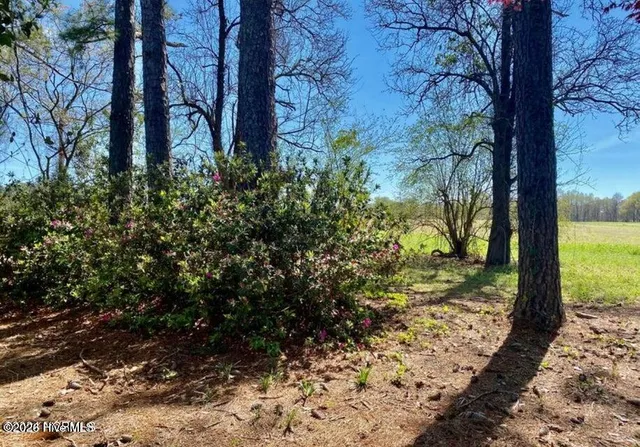 $422,000 | 4803 Andrew Jackson Highway Southwest, Chadbourn, NC 28431