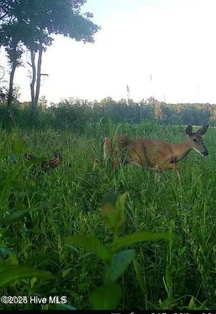 $416,500 | 4803 Andrew Jackson Highway Southwest, Chadbourn, NC 28431