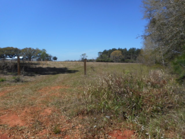 23597 North River Road Daphne, AL 36526 - Photo 5 of 5