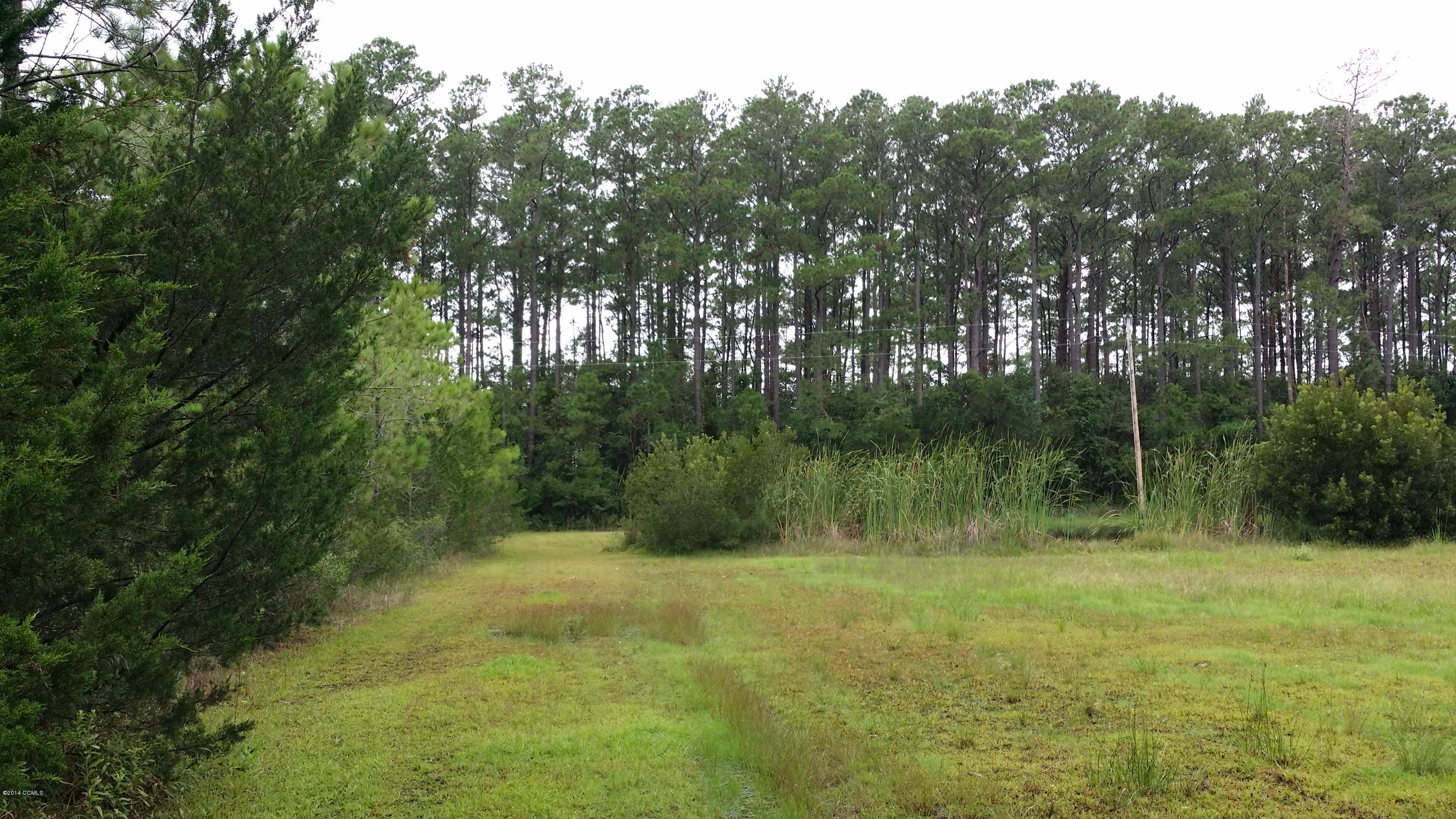 181 Sunset Point Road Beaufort, NC 28516 - Photo 2 of 3 Partially Cleared & Partially Wooded