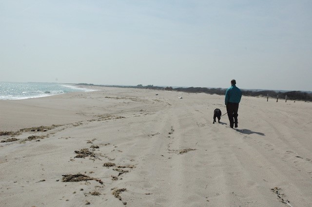 80 South Arnolda Road Charlestown, RI 02813 - Photo 50 of 50 ARNOLDA BEACH ACCESS FROM NINIGRET POND ASSOCIATION DOCK