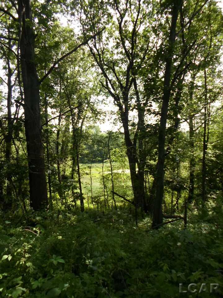 12000 Stephenson Road, Unit PARCEL A Brooklyn, MI 49230 - Photo 31 of 49