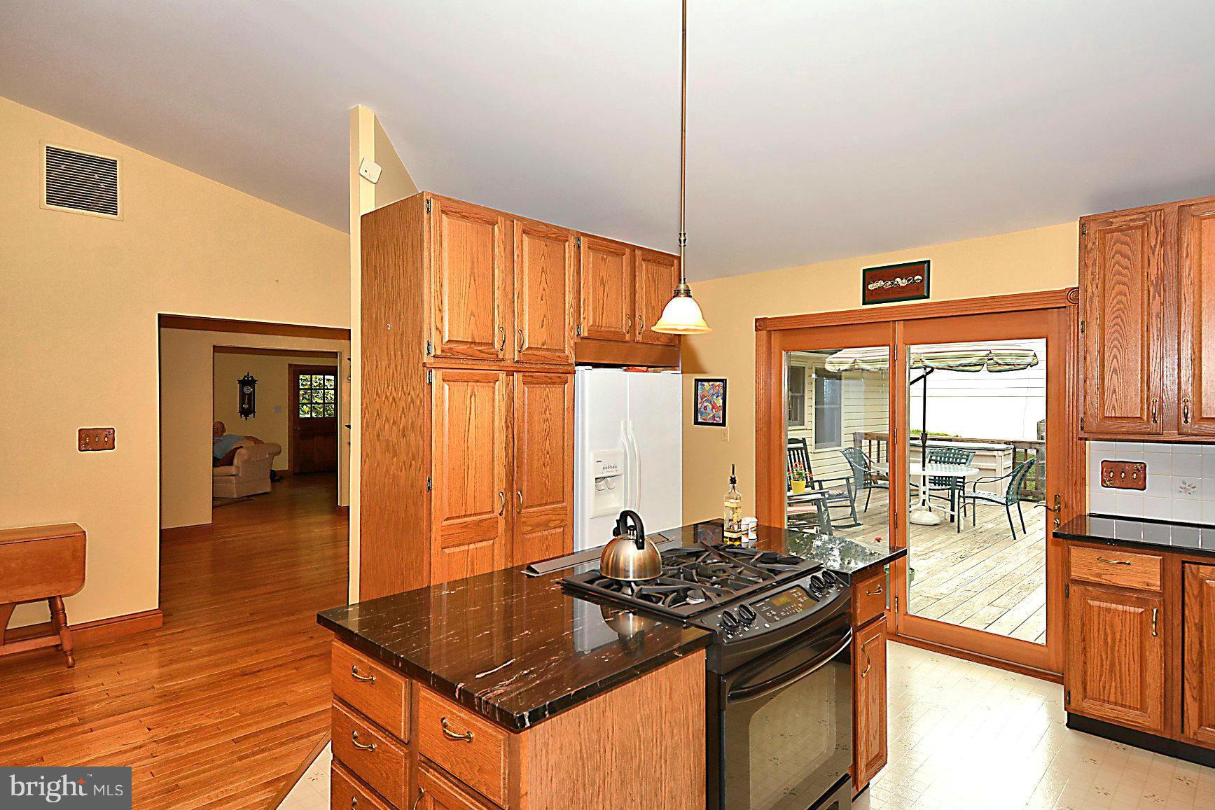 205 Oakton Road Gaithersburg, MD 20877 - Photo 10 of 28 Kitchen