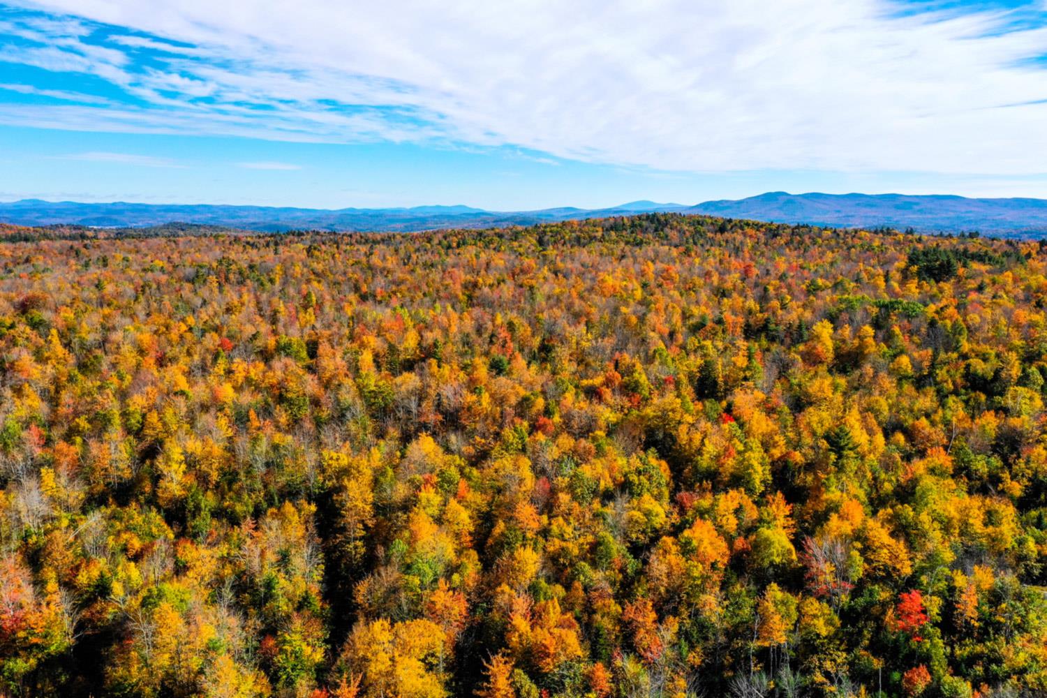 Potato Hill Road Newport, NH 03773 - Photo 15 of 20 Gallery Image 15