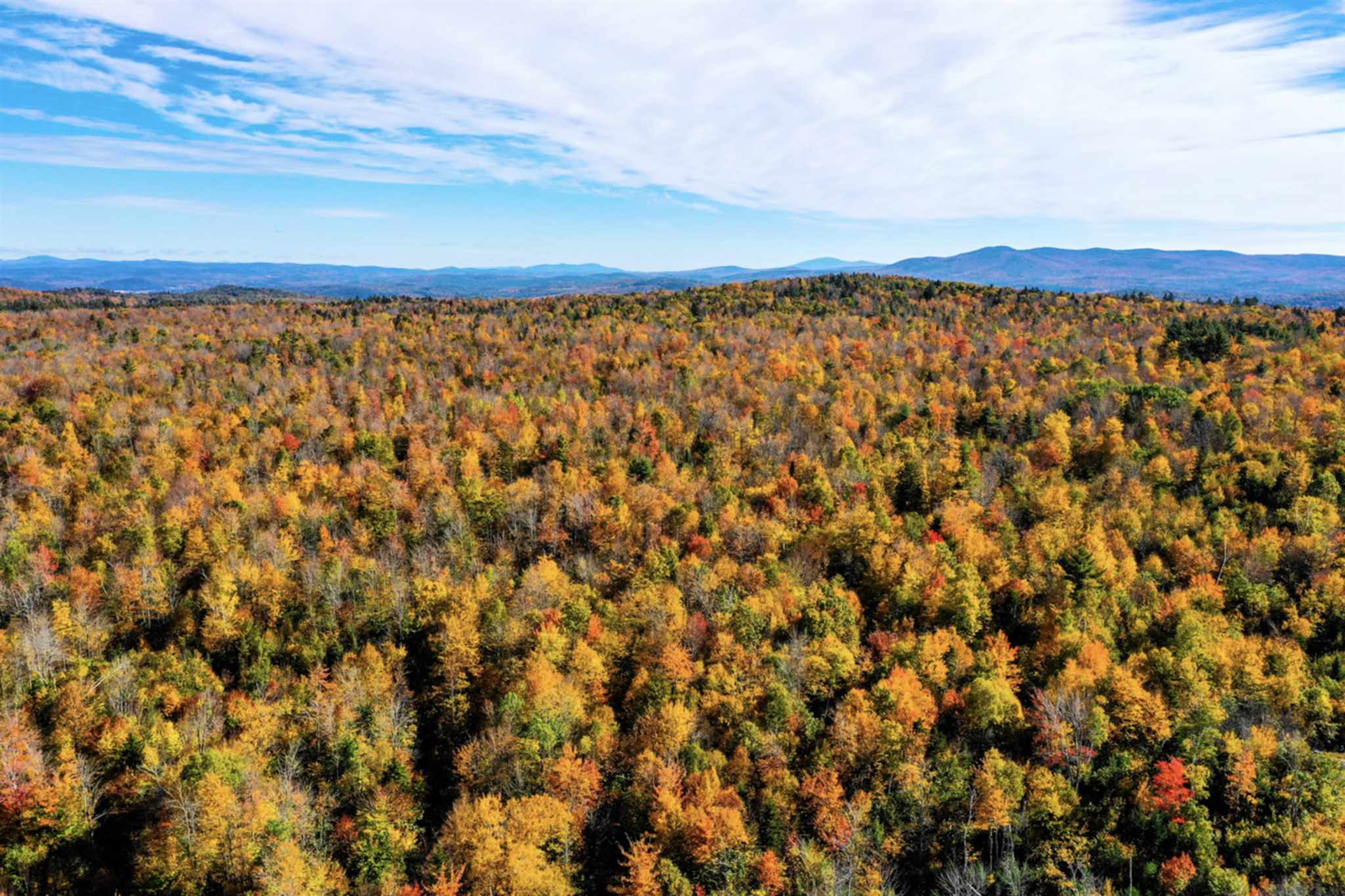 Potato Hill Road Newport, NH 03773 - Photo 17 of 20 Gallery Image 17