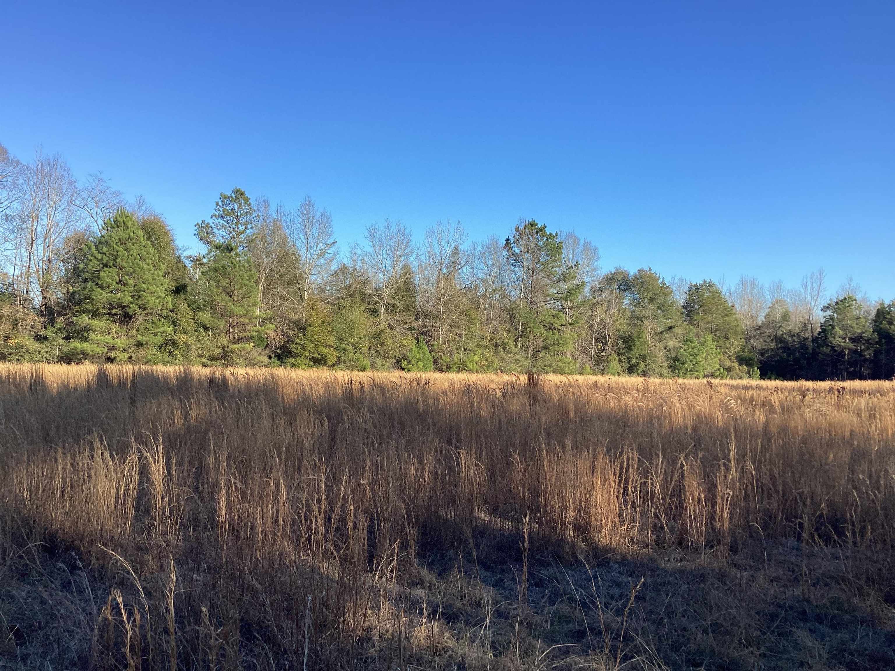 67 McIntyre Road Andalusia, AL 36420 - Photo 1 of 7 Gallery Image 1
