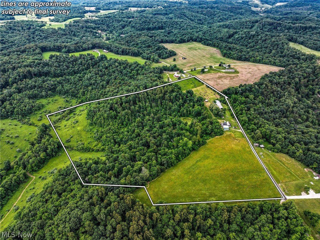 View of drone / aerial view