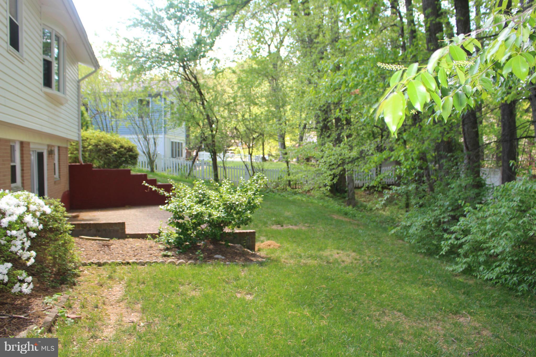 6218 Tyner Street Springfield, VA 22152 - Photo 27 of 30 Beautiful green view of back yard